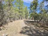  Wolverine Lane - Photo 1