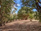 3551 Stage Road - Photo 3