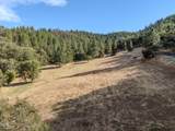 3583 Stage Road - Photo 13