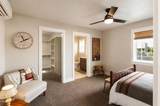 546 Blue Moon Drive - Photo 15