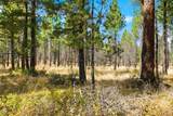16970 Quartz Hill Road - Photo 35