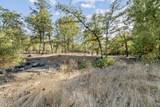 1500 Holton Creek Road - Photo 35