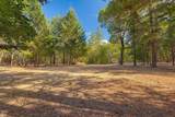 725 Williamson Loop - Photo 24