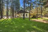 52073 White Fir - Photo 52
