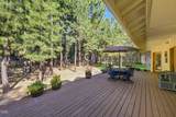 52073 White Fir - Photo 56