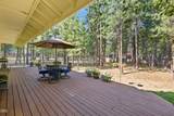 52073 White Fir - Photo 57