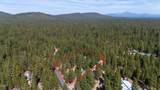 52073 White Fir - Photo 58
