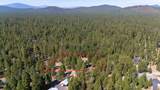 52073 White Fir - Photo 59