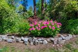 2569 Old Stage Road - Photo 6