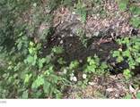 7079 Rogue River Highway - Photo 36