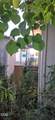 222 Ollis Road - Photo 9