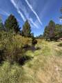 130126 Muley Drive - Photo 42