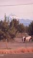 15317 Steelhead Road - Photo 6