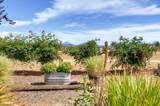 7872 Harlan Drive - Photo 24