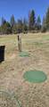 7433 Mina Bird Drive - Photo 7