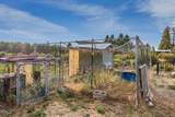 5515 Bufflehead Drive - Photo 49