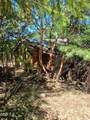 7965 Jump Creek Road - Photo 43