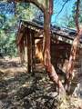 7965 Jump Creek Road - Photo 44