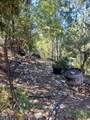 7965 Jump Creek Road - Photo 46