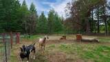 1771 Mill Creek Drive - Photo 46