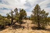  Seven Peaks Loop - Photo 11