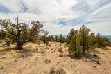  Seven Peaks Loop - Photo 15