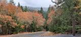 5831 Old Highway 99 - Photo 33