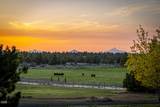 22311 Mcardle Road - Photo 81
