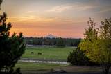 22311 Mcardle Road - Photo 82