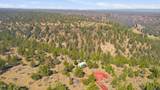 70110 Mckenzie Canyon Road - Photo 15