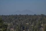 70110 Mckenzie Canyon Road - Photo 19