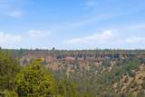 70110 Mckenzie Canyon Road - Photo 4