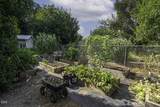 403 Black Tail Lane - Photo 21
