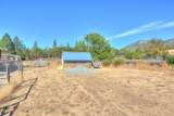 204 Rosewood Street - Photo 35