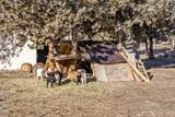 3199 Maphet Road - Photo 40