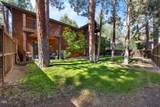 750 Buckaroo Trail - Photo 6