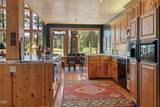 70448 Bowdenii - Photo 13