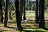 70448 Bowdenii - Photo 49