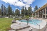70448 Bowdenii - Photo 58