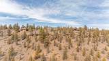 17665 Mountain View Road - Photo 53