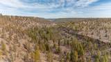 17665 Mountain View Road - Photo 54