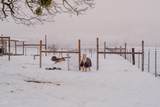 12261 Modoc Road - Photo 69
