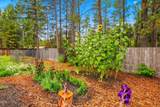 55510 Gross Drive - Photo 20