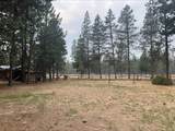 52531 Lost Ponderosa Road - Photo 42