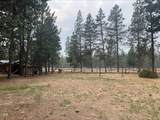 52531 Lost Ponderosa Road - Photo 47