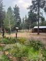 52531 Lost Ponderosa Road - Photo 48