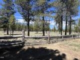 52531 Lost Ponderosa Road - Photo 49