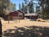52531 Lost Ponderosa Road - Photo 51