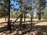 52531 Lost Ponderosa Road - Photo 54