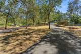 387 Carrollwood Drive - Photo 31